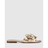 Read Wittner Reviews